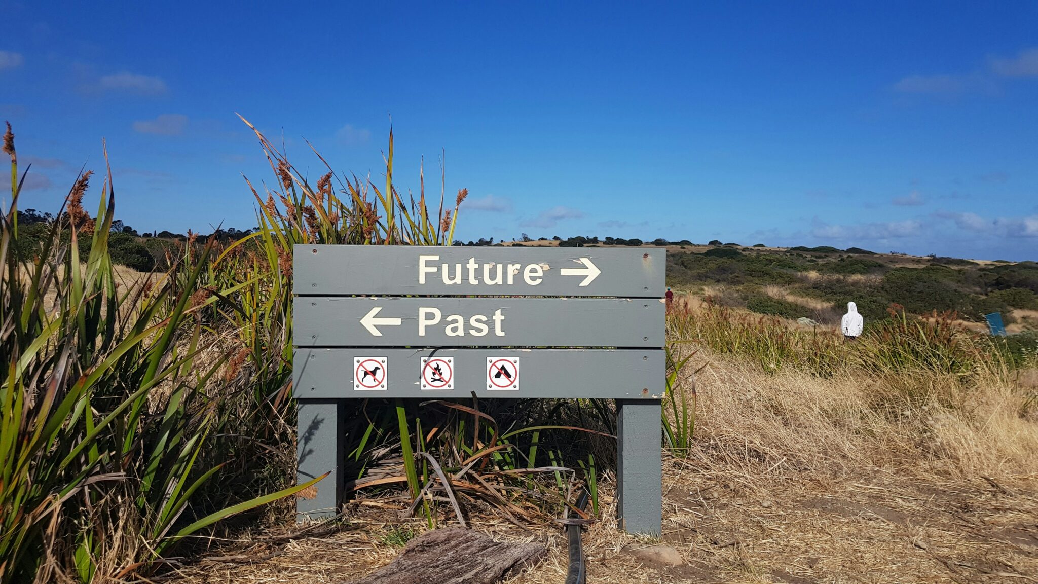 wooden signs with "future" and "past" words with arrows